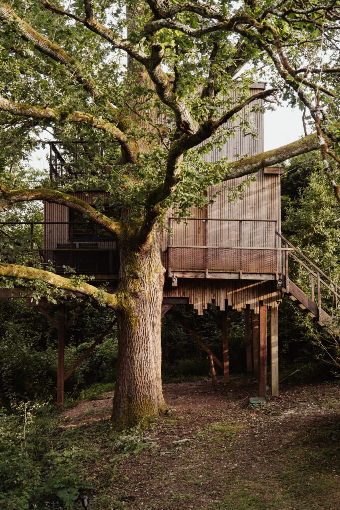 Cabane perchée et lodges